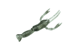 Striped Shrimp