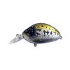 #616 Silver Bass