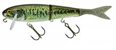 Biwako Bass
