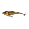 Dirty Roach