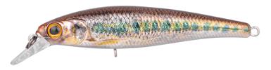 Gudgeon