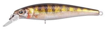 Zander