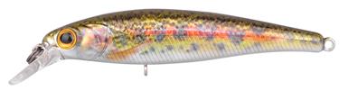 Baby Trout