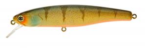 Agressive Perch