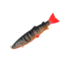 #31 Tilapia Red Tail