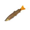 #CT06 Fario