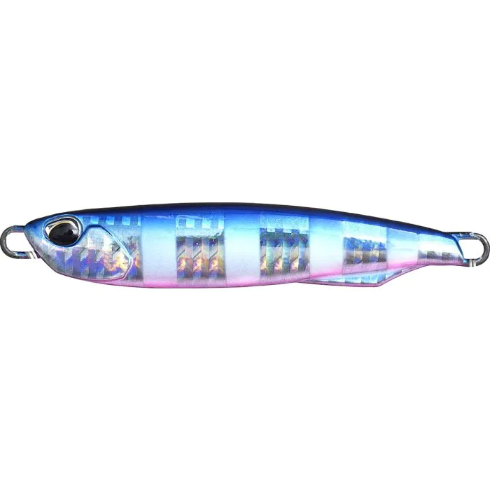 Blue Pink Zebra Glow