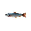 Raoch Ghost