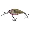 Dying Blue Gill