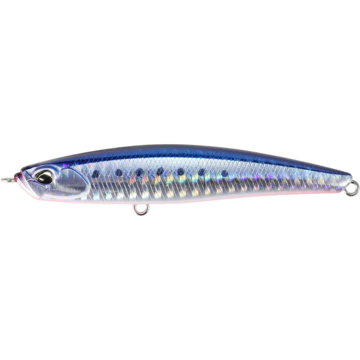 AHA0087 Mazume Sardine