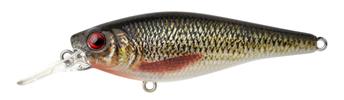 Roach