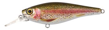 Rainbow Trout