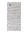 Birch Grey