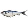 Baitfish