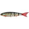 Red Fin Perch