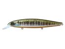 #35 Prism Gill