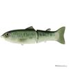 #16 Black Bass