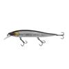 Baitfish