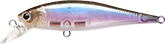 Boso Wakasagi