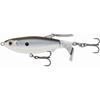 Black Back Shad