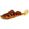 Goby
