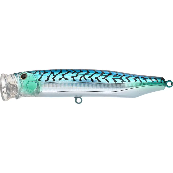 Blue Mackerel