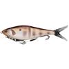 Bream