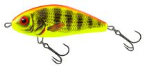 Bright Perch