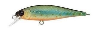 Brook Trout