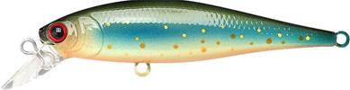 Brook Trout