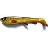 #WC024 Brown Trout