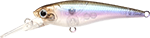 Boso Wakasagi
