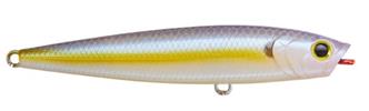 Chartreuse Shad