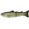 #01 Flash Carp