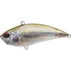 Emerald Shiner ND