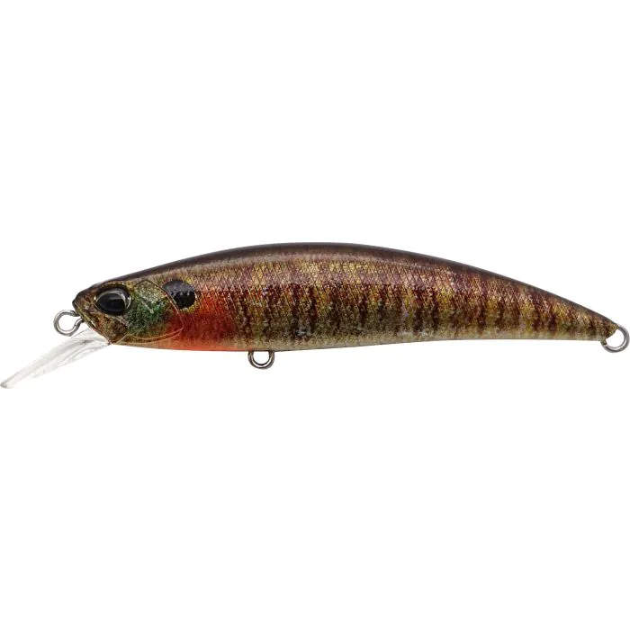 CCC3357 True Gill