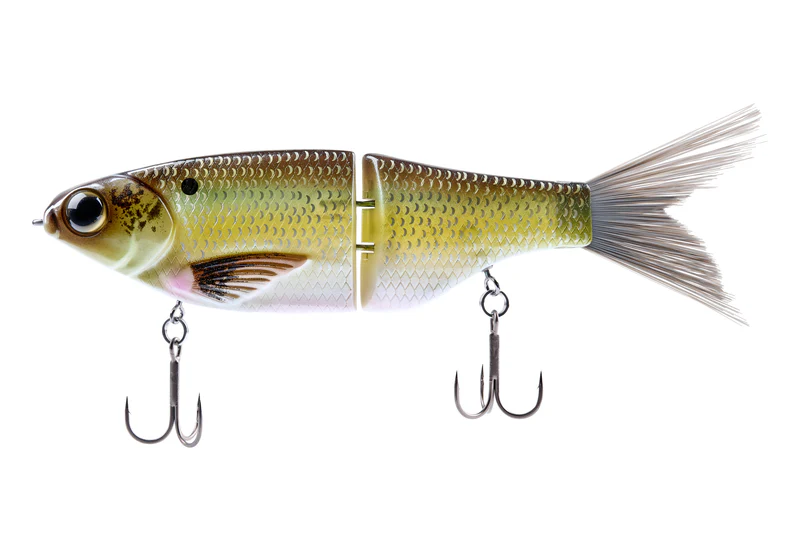 Grand Shad
