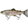 Clear Rainbow Trout