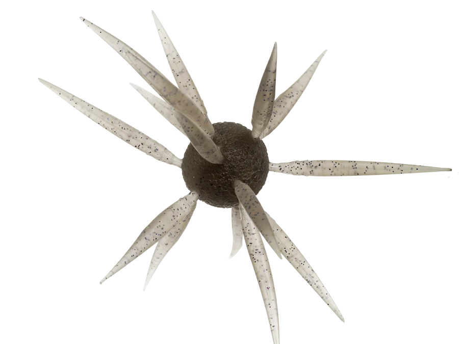 #242 Ebi Dappi