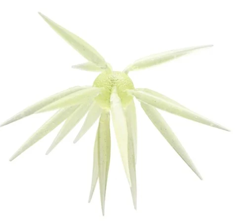 #286 Squash Lemon