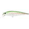 Rainbow Trout