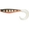 Redfin Perch