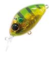 #376 Gold Perch