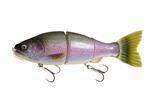 Real Rainbow Trout