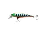 Green Chart Amago