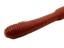 Earthworm