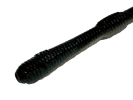 Eel