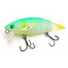 #08 Emerald Shiner