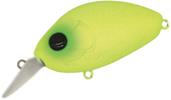 #613 Chart Green Eye