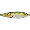 Mackerel